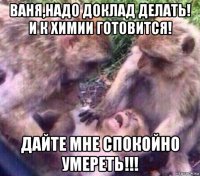 ваня,надо доклад делать! и к химии готовится! дайте мне спокойно умереть!!!