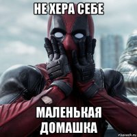 не хера себе маленькая домашка