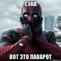 сука вот это паварот