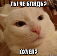 ты че блядь? охуел?