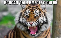 всосал дым вместе с сигой 