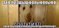 авфлызщыщфвоыфвоыфв авофлвыошщыовщшдлывоцыфлбвоышз