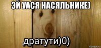 эй уася насяльнике) 