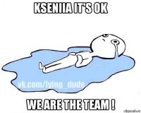 kseniia it's ok we are the team !