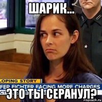 шарик... это ты серанул?