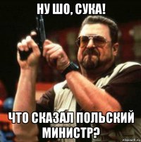 ну шо, сука! что сказал польский министр?