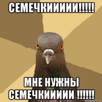 семечкиииии!!!!! мне нужны семечкиииии !!!!!!