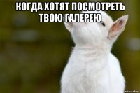 когда хотят посмотреть твою галерею 