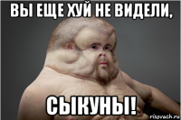 вы еще хуй не видели, сыкуны!