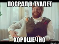 посрал в туалет хорошечно