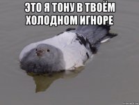 это я тону в твоём холодном игноре 