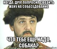 когда, друг попросил свозить жену на собеседование что тебе еще надо, собака?