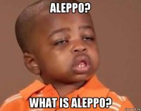 aleppo? what is aleppo?
