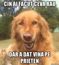 cin ai facut ceva rau dar a dat vina pe prieten