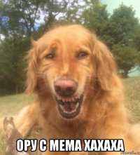  ору с мема хахаха