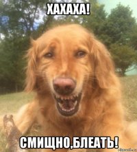 хахаха! смищно,блеать!