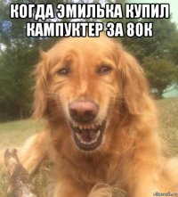 когда эмилька купил кампуктер за 80к 