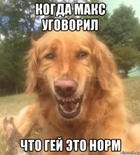 когда макс уговорил что гей это норм