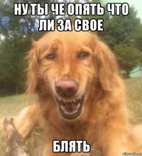 ну ты че опять что ли за свое блять