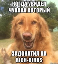 когда увидел чувака который задонатил на rich-birds