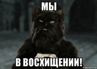 мы в восхищении!