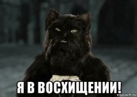  я в восхищении!