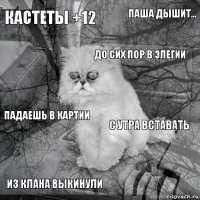 кастеты +12 с утра вставать до сих пор в элегии из клана выкинули падаешь в картии паша дышит...    