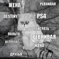 жена ревнивая PS4 друзья польто ревнивая жена destiny встреча поиграть