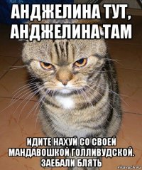 анджелина тут, анджелина там идите нахуй со своей мандавошкой голливудской. заебали блять