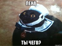 лена ты чего?