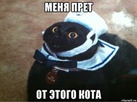 меня прет от этого кота
