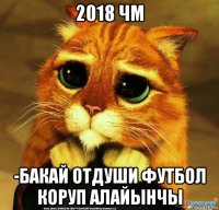 2018 чм -бакай отдуши футбол коруп алайынчы