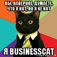вы, наверное, думаете, что я кот, но я не кот я businesscat