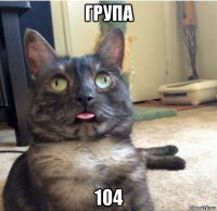 група 104