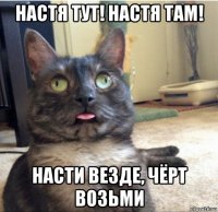 настя тут! настя там! насти везде, чёрт возьми