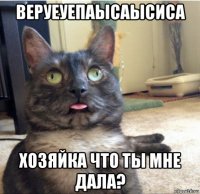 веруеуепаысаысиса хозяйка что ты мне дала?