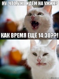 Ну, что, уже идём на ужин? Как время ещё 14:30??!