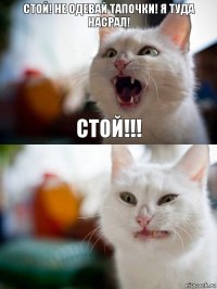 Стой! Не одевай тапочки! Я туда насрал! СТОЙ!!!