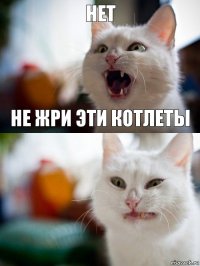 нет не жри эти котлеты