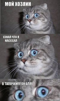 Мой хозяин узнал что я насссал В тапочки!!! ох бля!