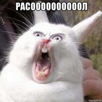 расоооооооооол 