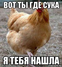 вот ты где сука я тебя нашла