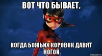 вот что бывает, когда божьих коровок давят ногой