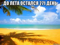 до лета остался 271 день 