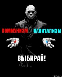 Коммунизм Капитализм Выбирай!