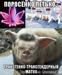 поросёнко петько - трансгенно-трансгендерный матко