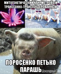 митогенетический нанрметровый трансгенно-трансгендерованный поросёнко петько парашь