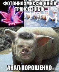 фотонноэмиссионный трансгенный анал порошенко