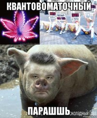квантовоматочный парашшь