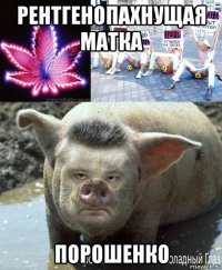 рентгенопахнущая матка порошенко